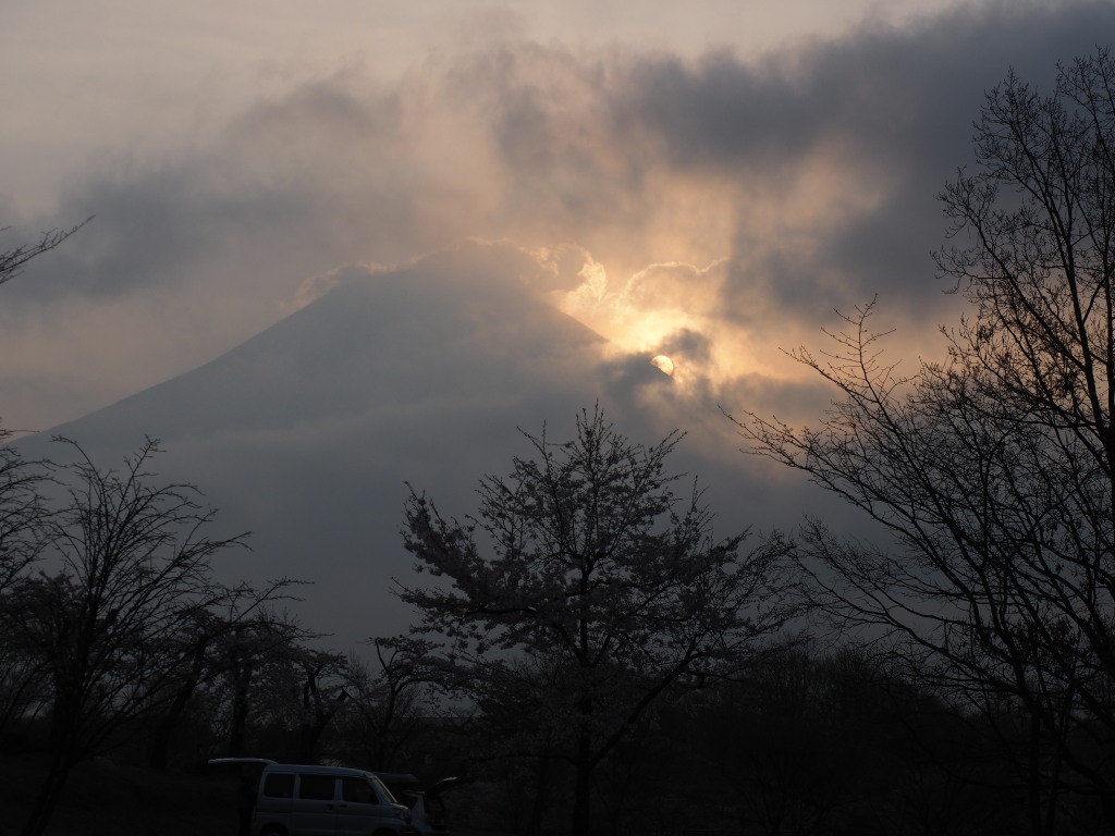 4/11�@�_�̒��̓��̏o