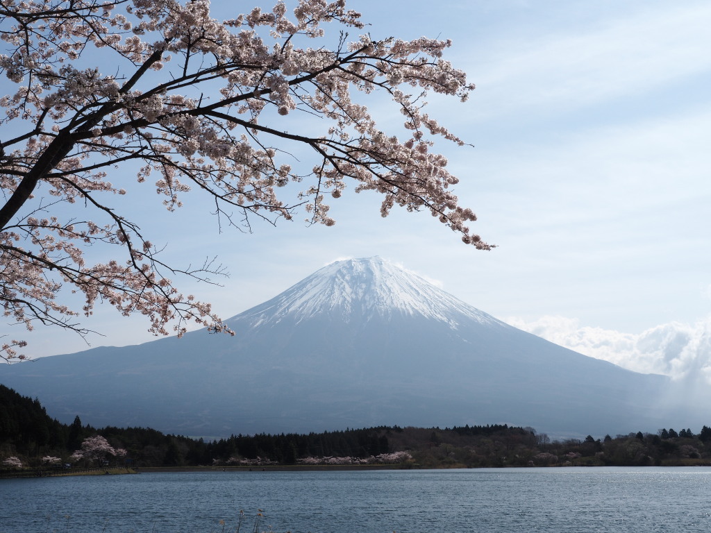 4/11 ���ƕx�m�R(2)