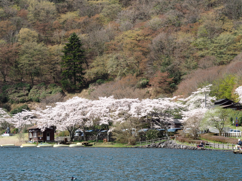 4/11 �k�T�C�g�̍�