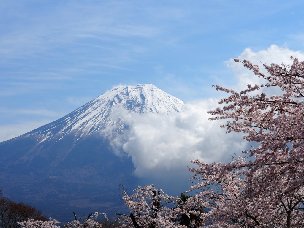 4/11 ���ƕx�m�R(5)