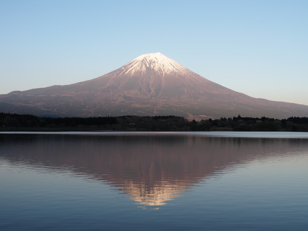 4/19 �[�Ă��̋t���x�m