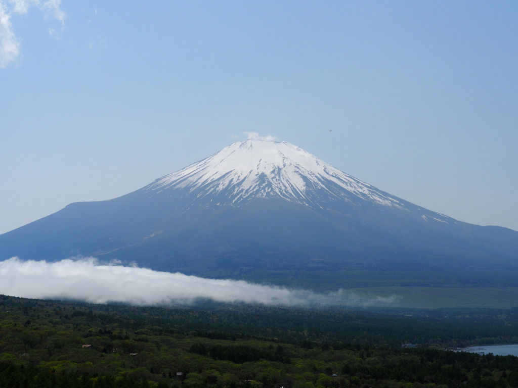 5/7 �����n�߂��x�m�R