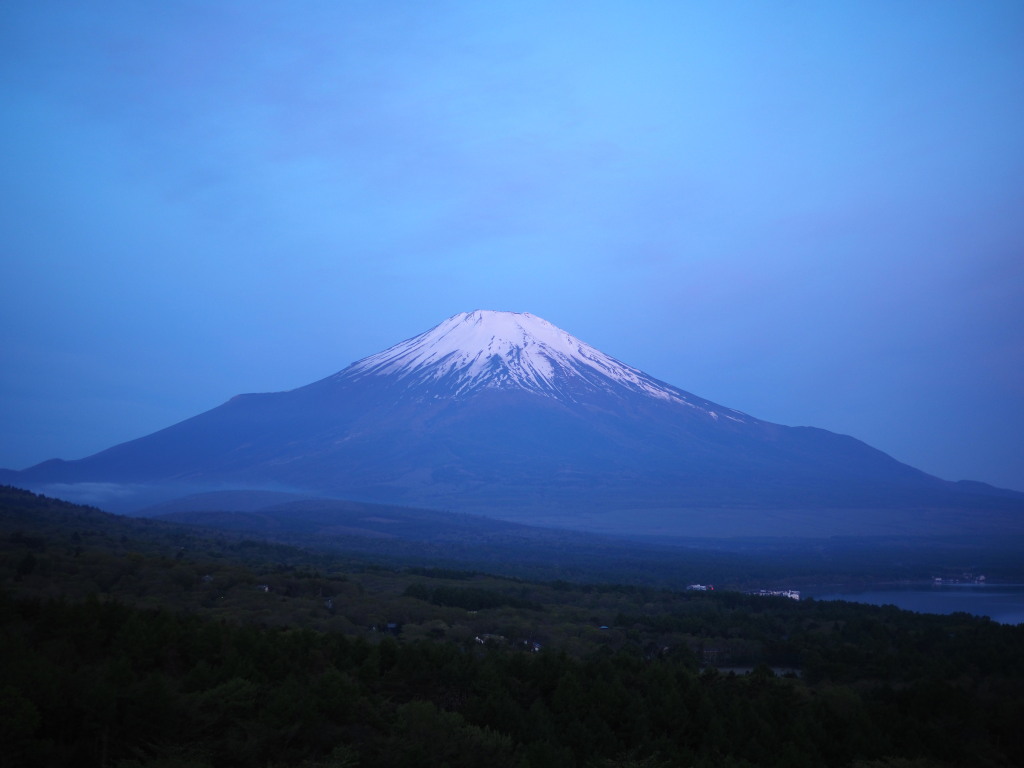 5/8 ���Ă��̕x�m�R