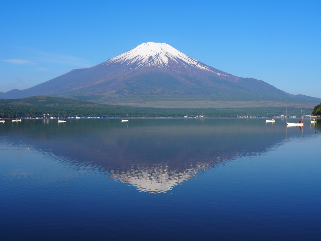 5/8 �L��������̋t���x�m