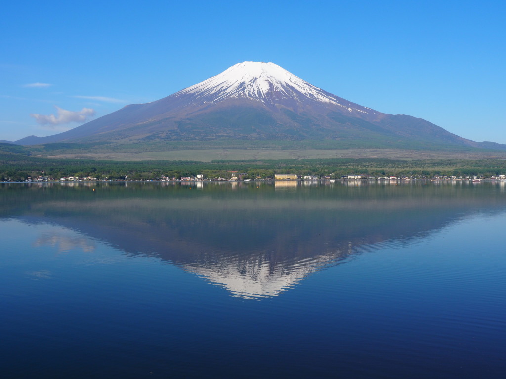 5/8 ���r���̋t���x�m