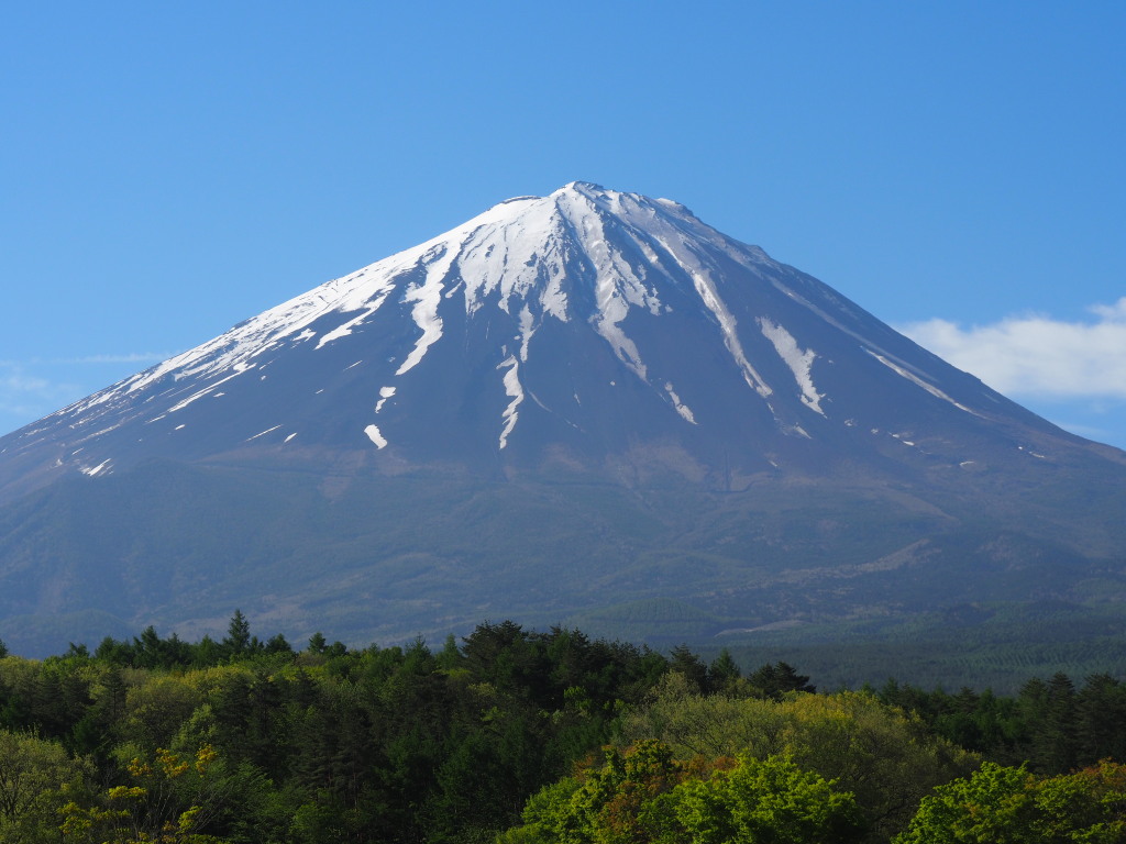 5/8 �򂩂�̕x�m�R