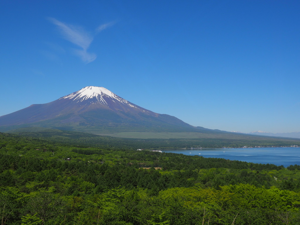 5/18 �������璹�_