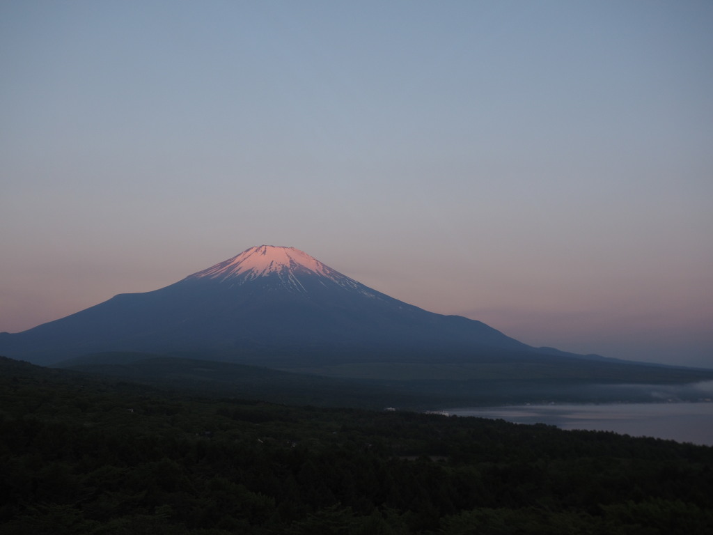 5/19 �ق�̂�g�x�m