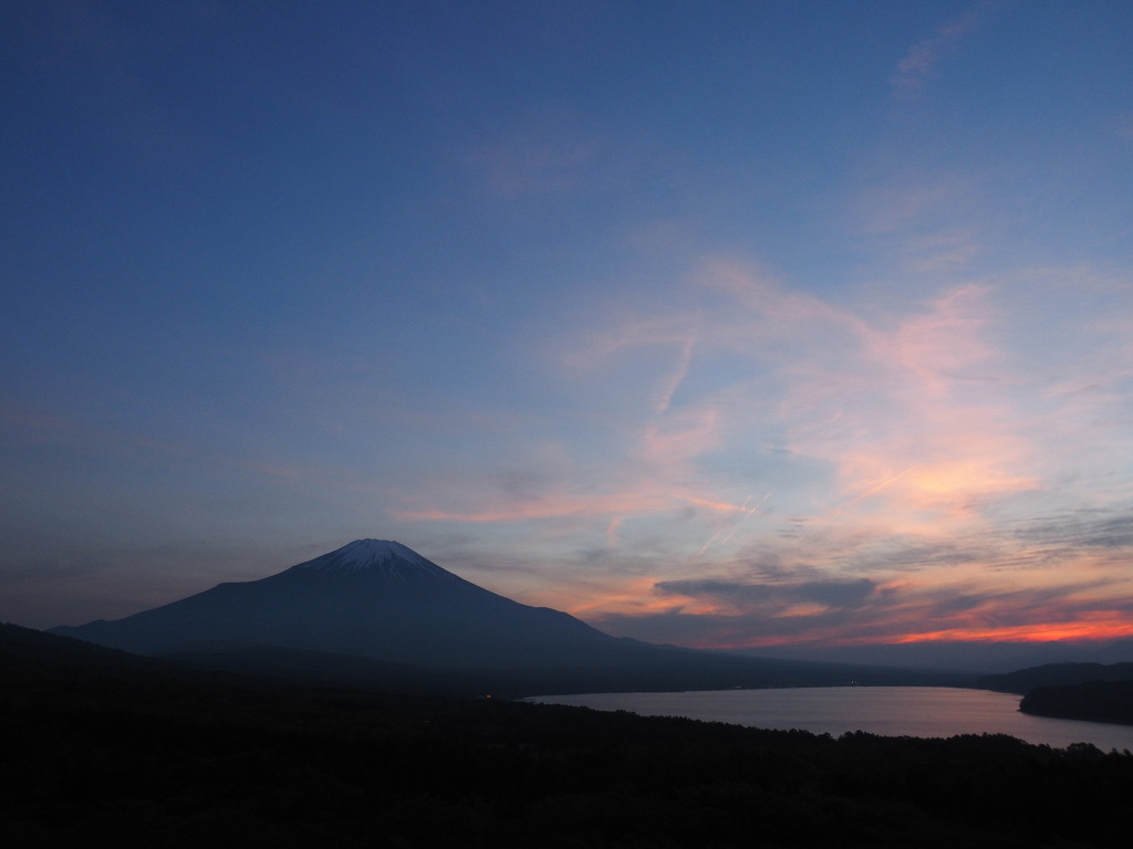 5/19 ��Ă��̕x�m�R