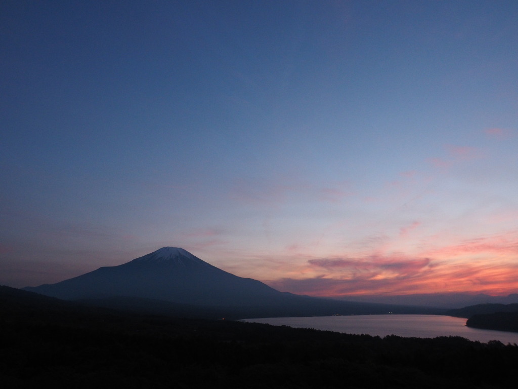 5/19 �[�Ă��̕x�m�R