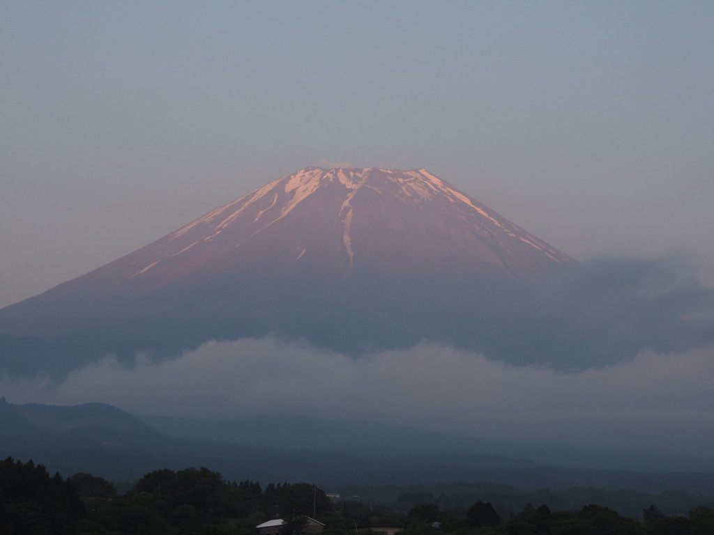 5/21 �x�m���䂩��̗[�Ă�