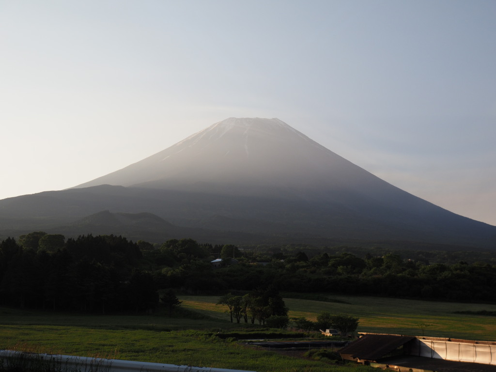 5/22 ���Ă��̕x�m�R