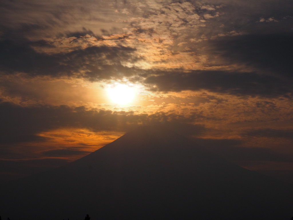 5/24 ���낱�_�̒��̃_�C��