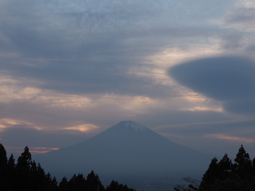 5/24 ��u�̕x�m�R