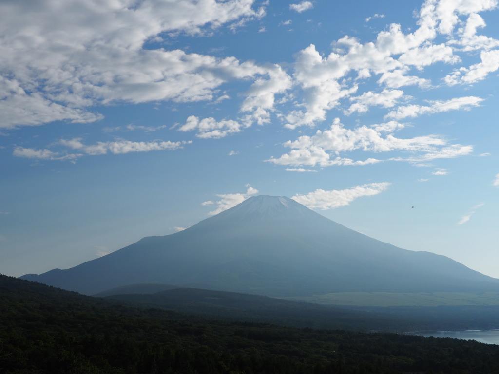 6/5 �_�ƕx�m�R