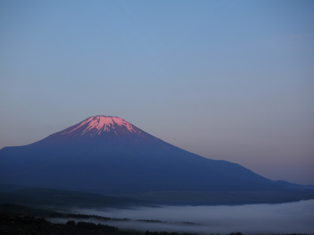 6/6 �_�C�ƍg�x�m