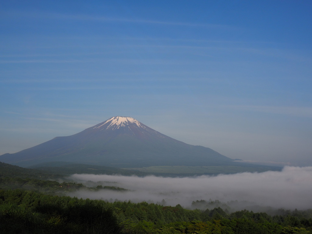 6/6 �_�C�L����