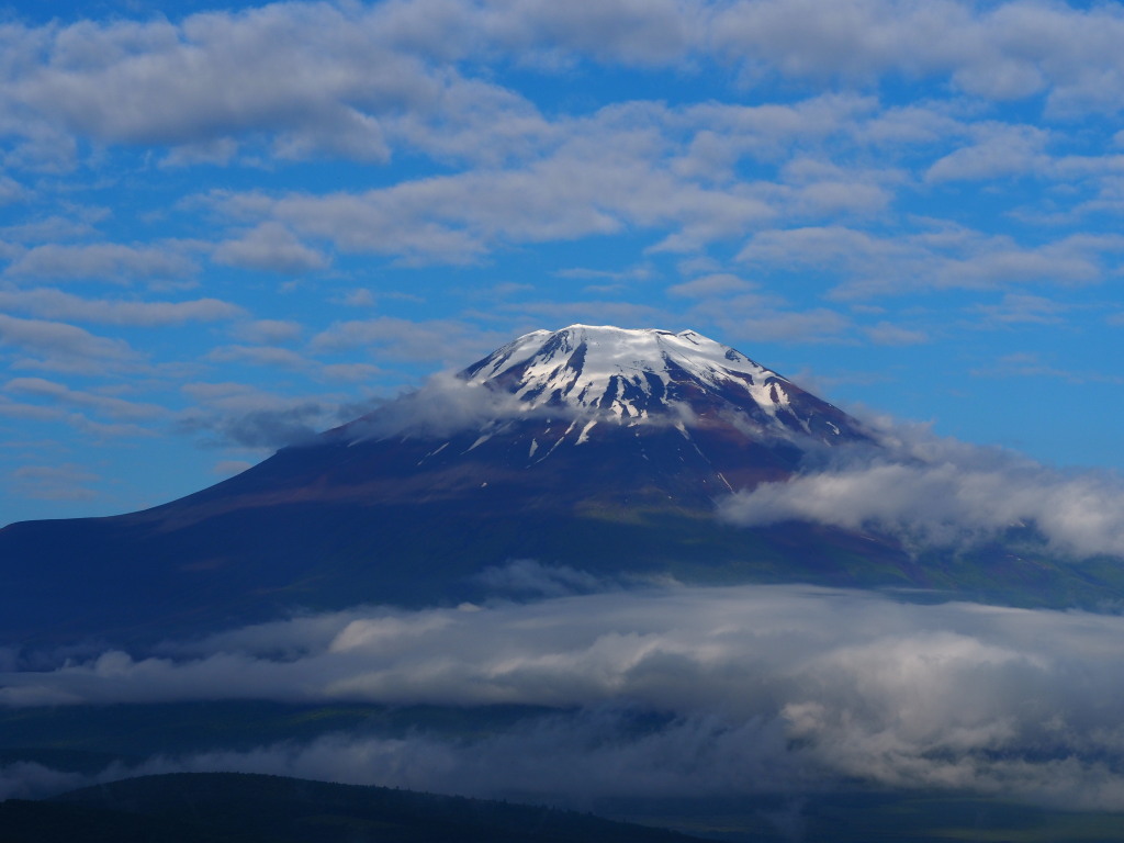 6/9 ��̕x�m�R