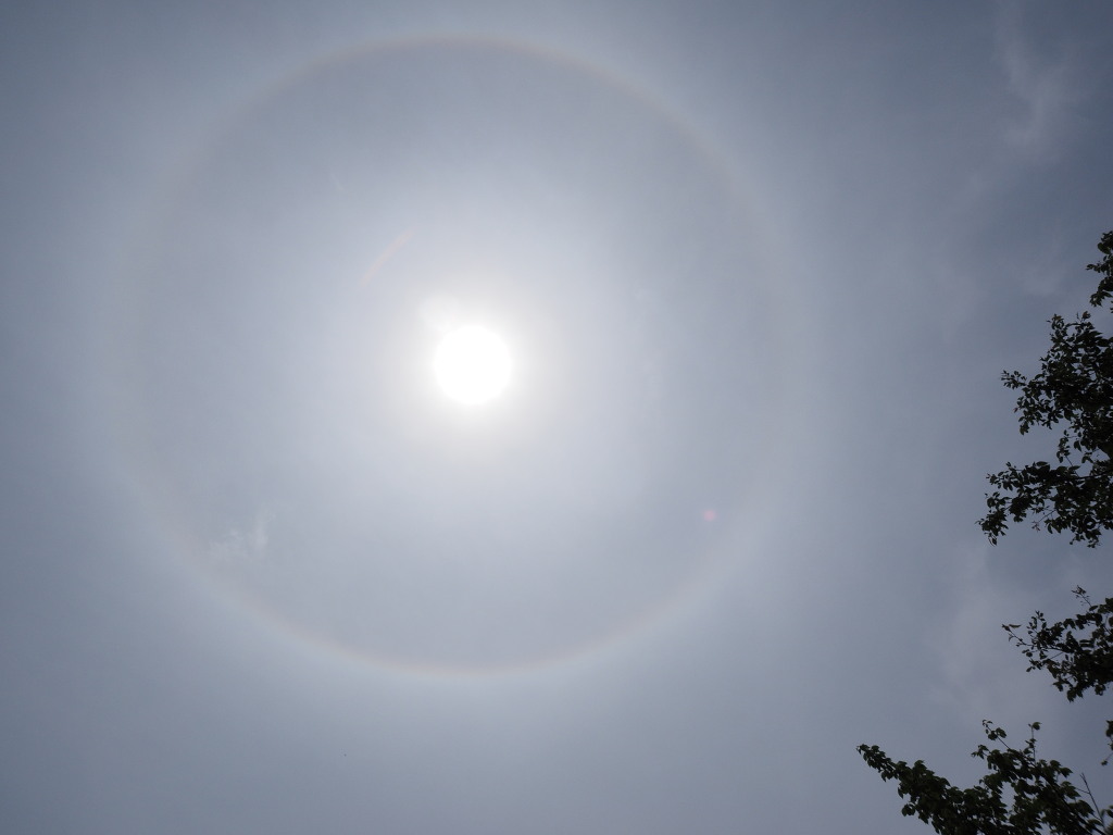 6/9 ���֏o��