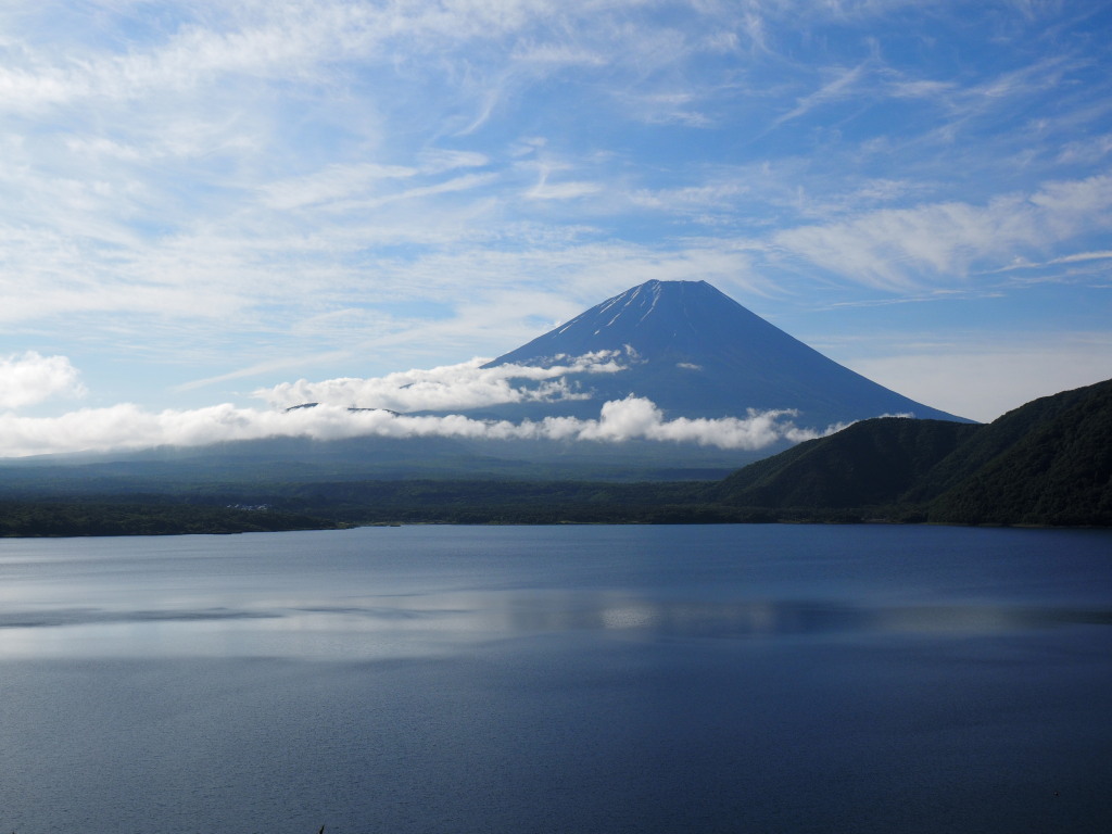 6/10 �_�ƕx�m�R