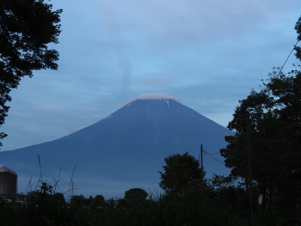 6/11 ������������̕x�m�R