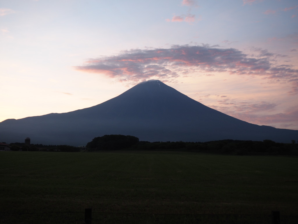 6/12 ���Ă��̕x�m�R