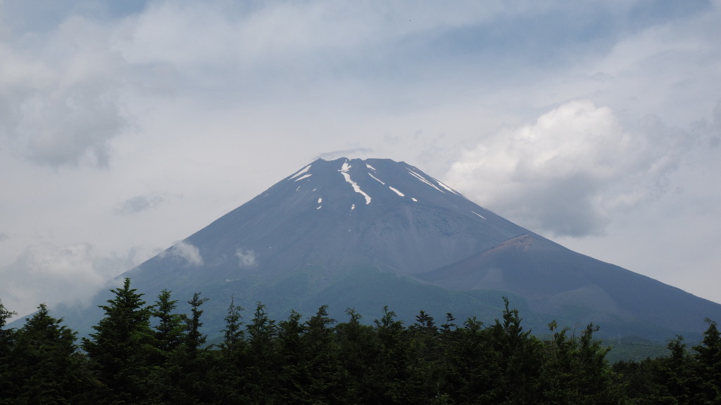 6/12 �\���؂���̕x�m�R