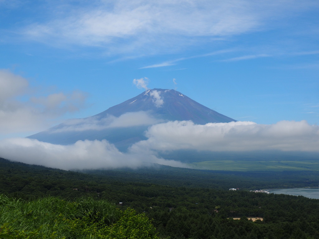 7/6 �_�ƕx�m�R