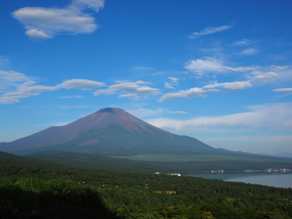 7/7 �_�ƕx�m�R