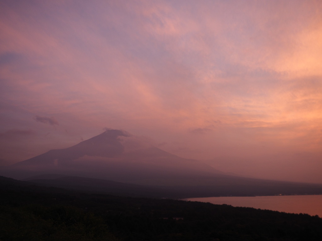 7/7 �}�Ɍ������x�m�R