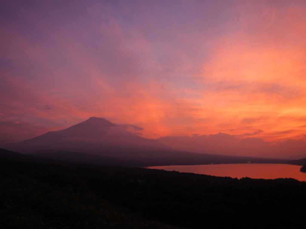 7/7 ��x�Ă��̕x�m�R