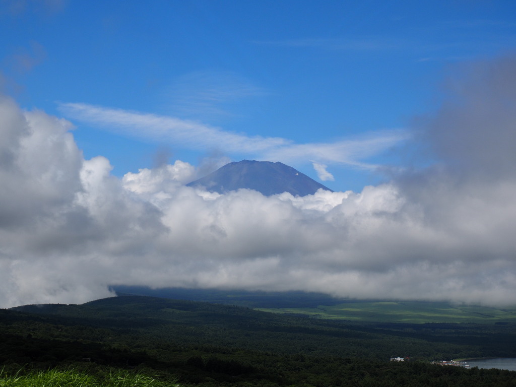 7/23 �J�オ��̕x�m�R