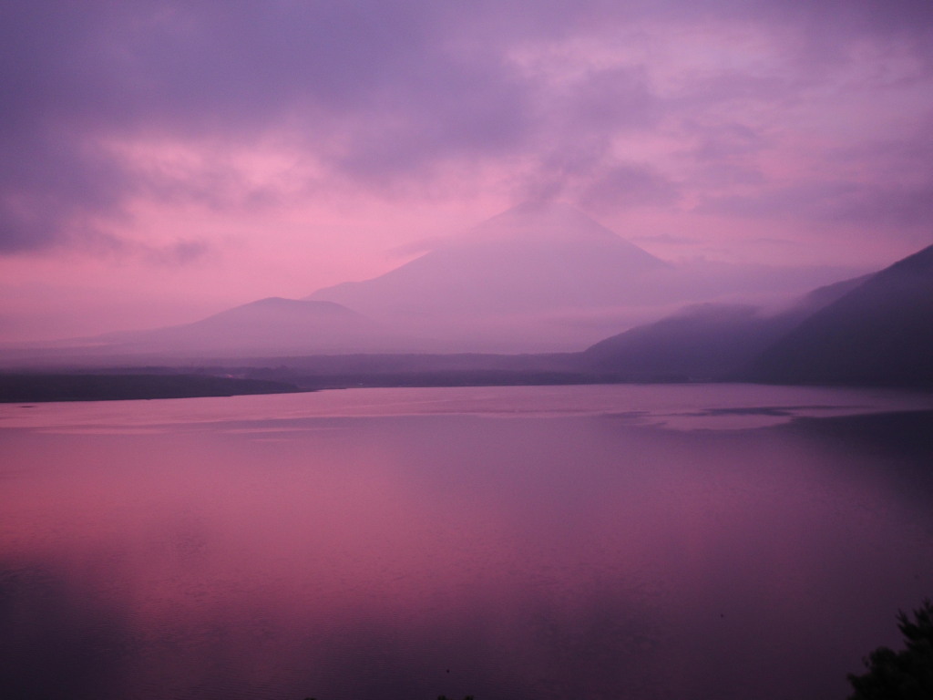 7/25 ���F�̖{����