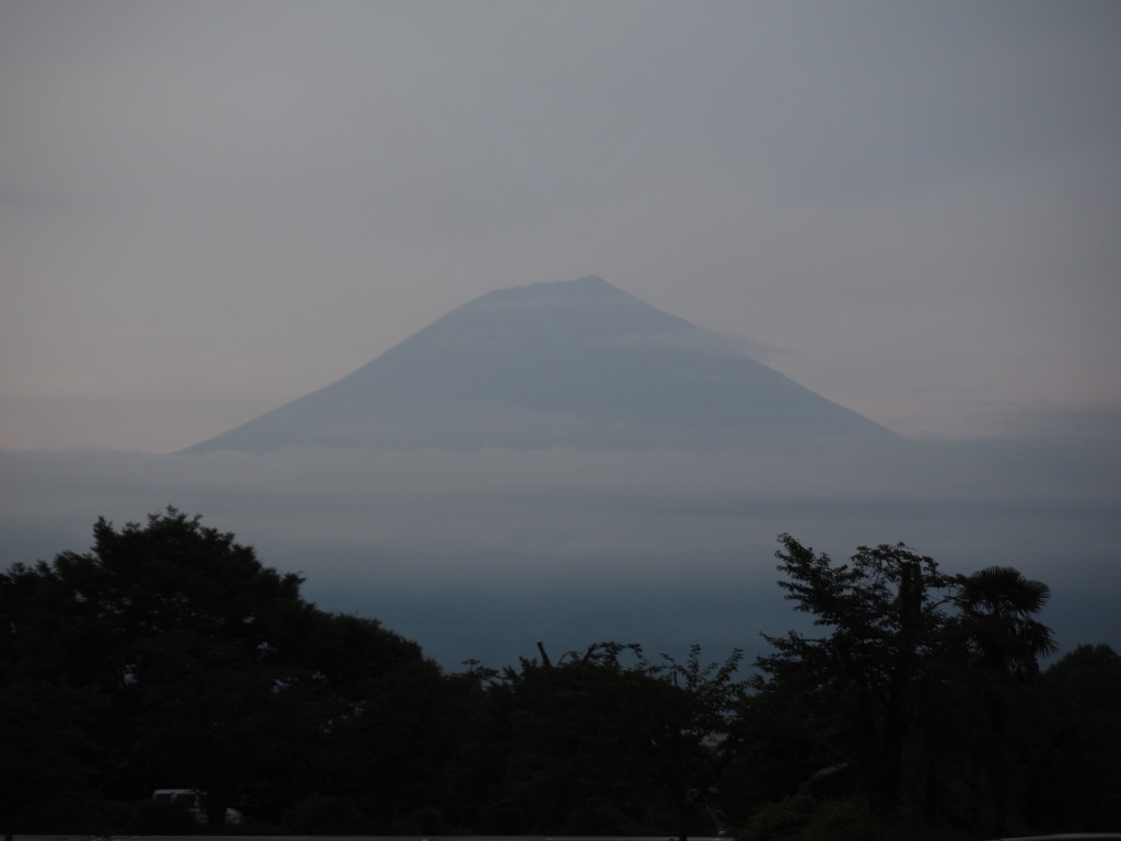 7/26 �}�Ɍ������x�m�R