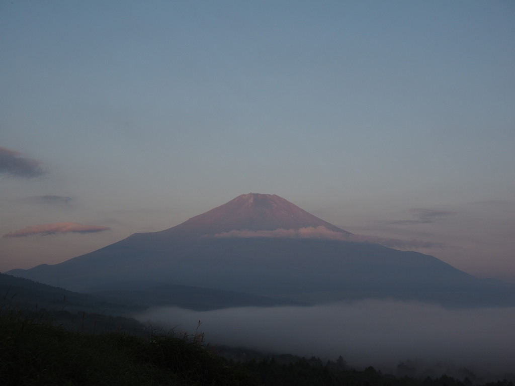 8/6 �Q�ڂ����x�m�R