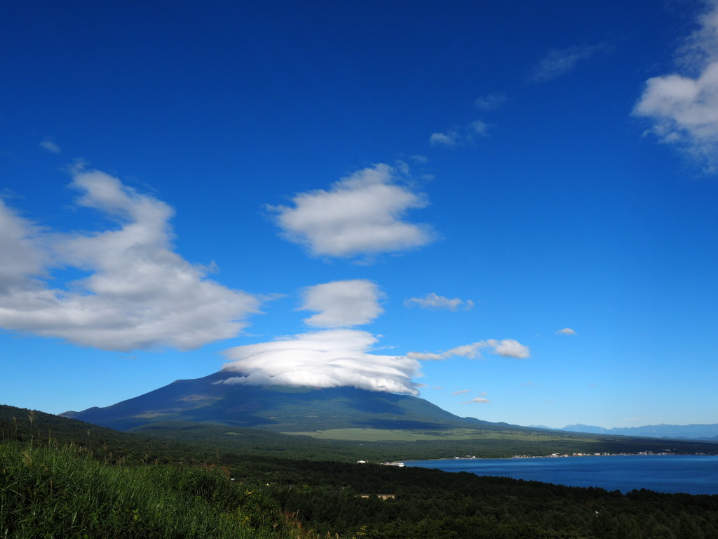 8/8 �_�ƕx�m�R