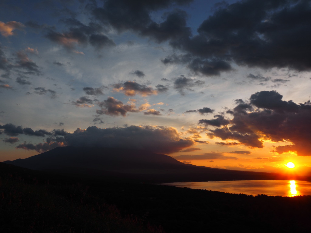 8/8 ���̓���̕x�m�R