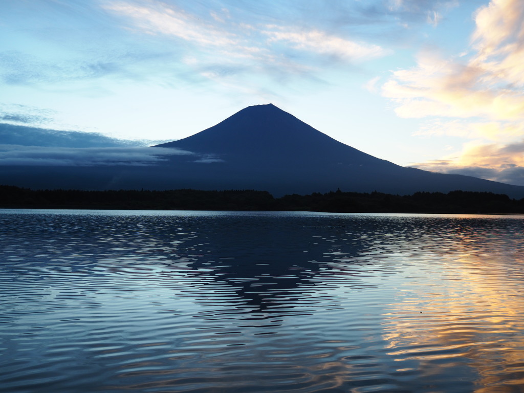 8/21 ���Ă��̕x�m�R