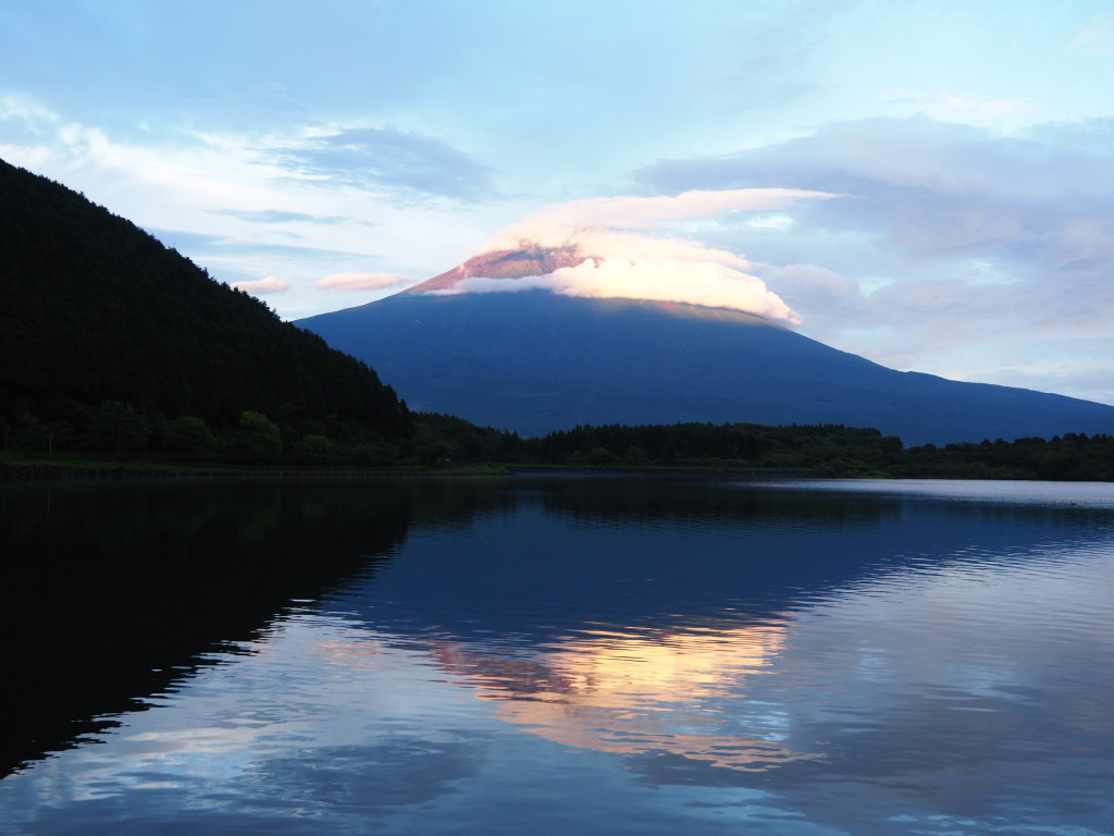 8/22 �[�Ă��̕x�m�R