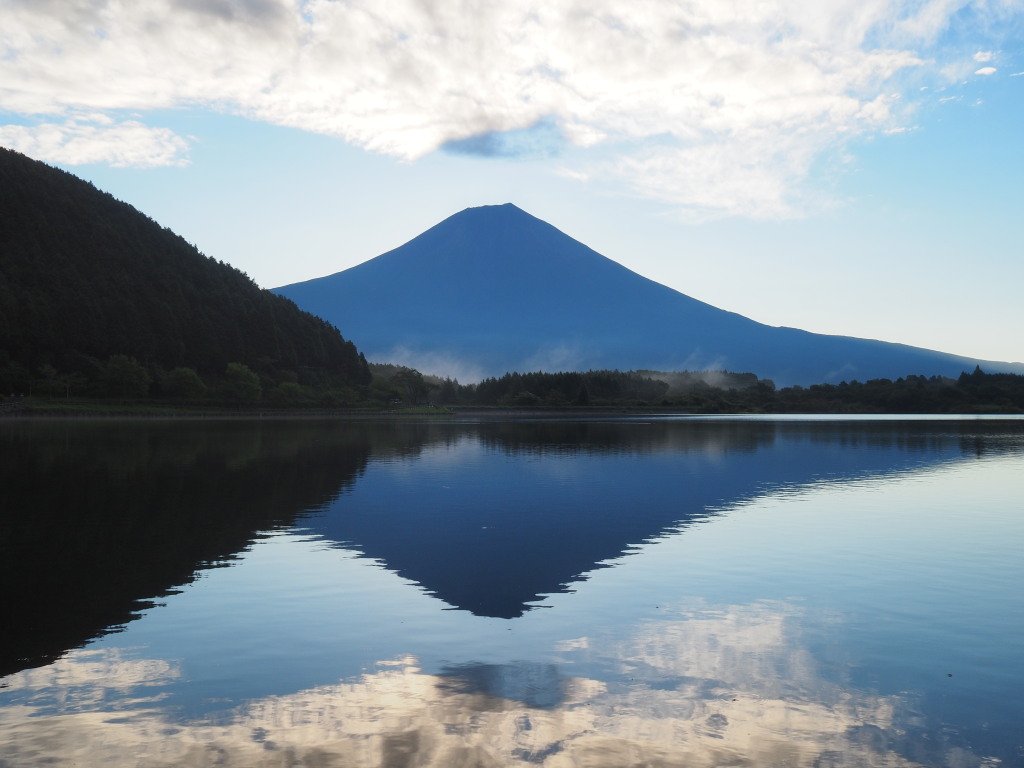 8/25 �e�x�m�o��