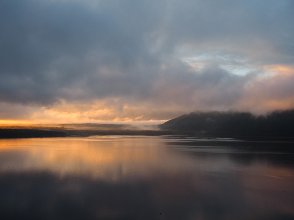 9/5 �{���΂̒��Ă�