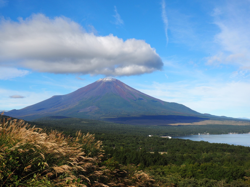 9/25 �X�X�L�ƕx�m�R