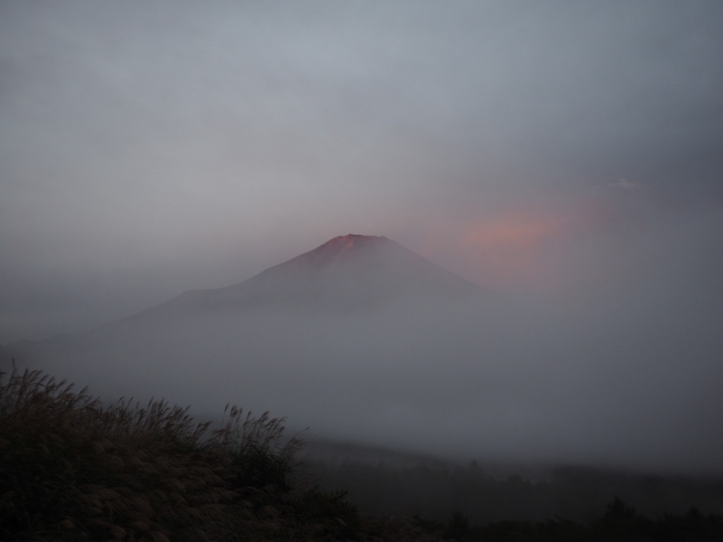 9/26 �_�C�̕x�m�R