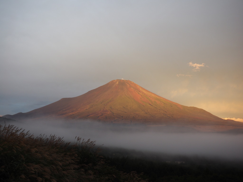 9/26 ���Ă��̕x�m�R