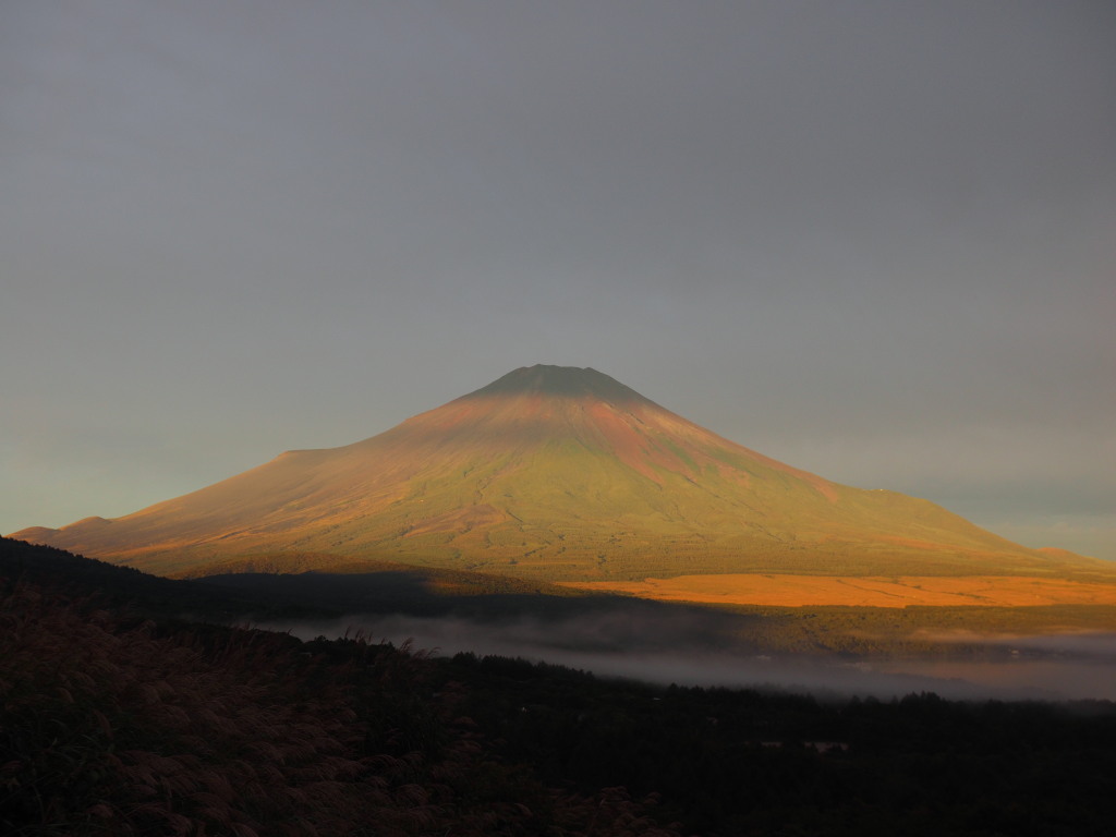 9/26 �R���������Ȃ�