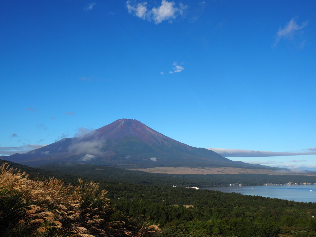 9/27 ��ƃX�X�L