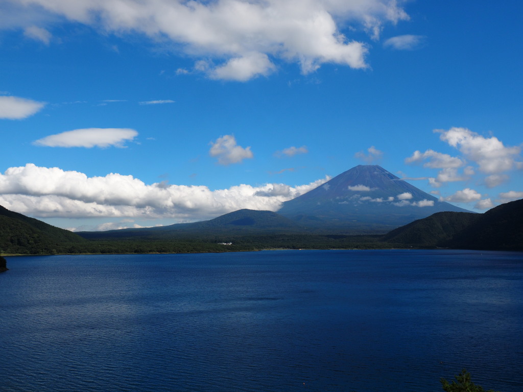 9/27 �_���؂ꂽ�x�m�R