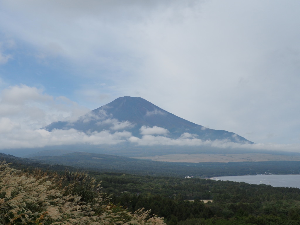 10/14 �_���؂ꂽ��