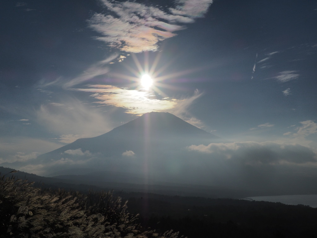 10/14 �ʉ_�ƕx�m�R