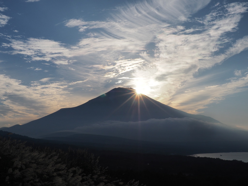 10/14 �܂��Ȃ����ޑ��z